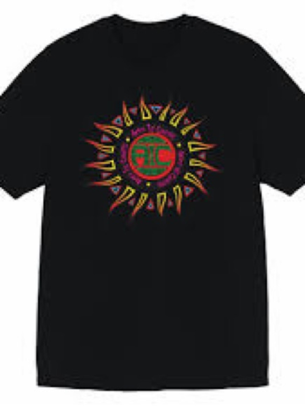 Alice In Chains Seattle T-Shirt Size XL New Layne Staley Grunge 90s Reprint